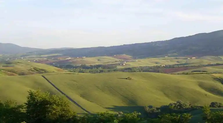 Farm house in Terricciola