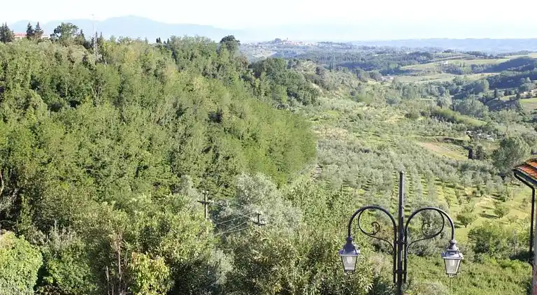 Farm house in Terricciola