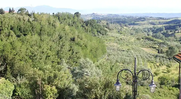 Farm house in Terricciola