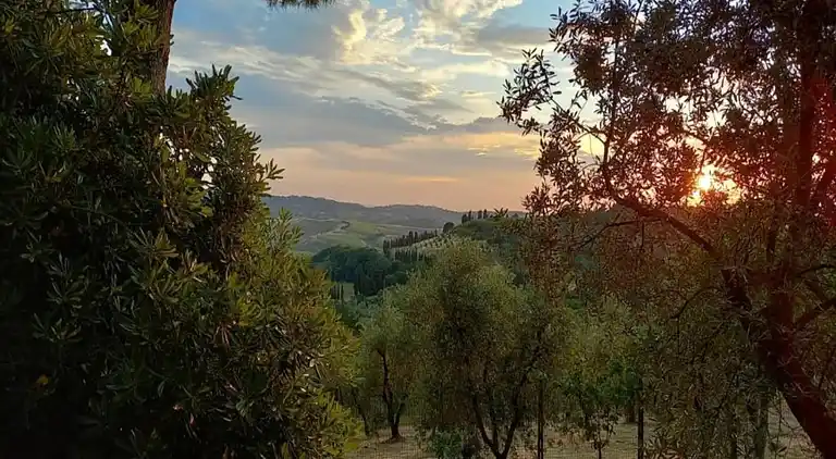 Farm house in Terricciola