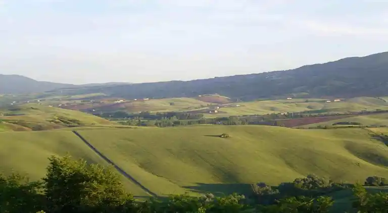 Farm house in Terricciola