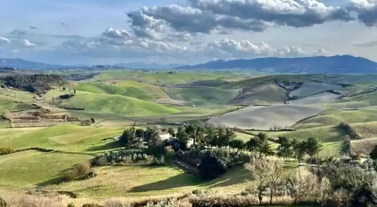 Farm house in Terricciola