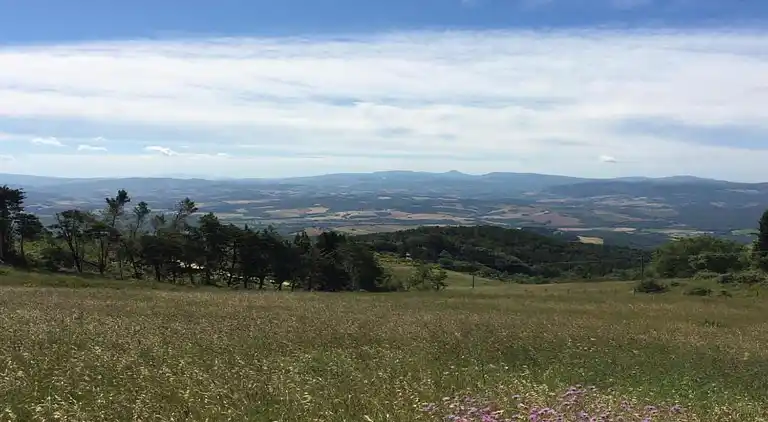 Holiday home in Lajatico