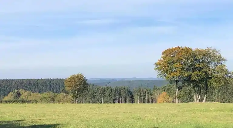 Sommerhus i Stavelot