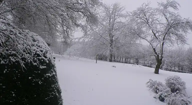 Cottage in Baillamont