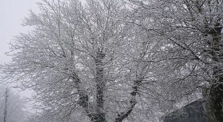 Cottage in Baillamont