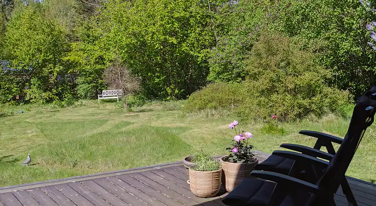 Ferienhaus mit Ruhe, Natur und schöne Erlebnissen