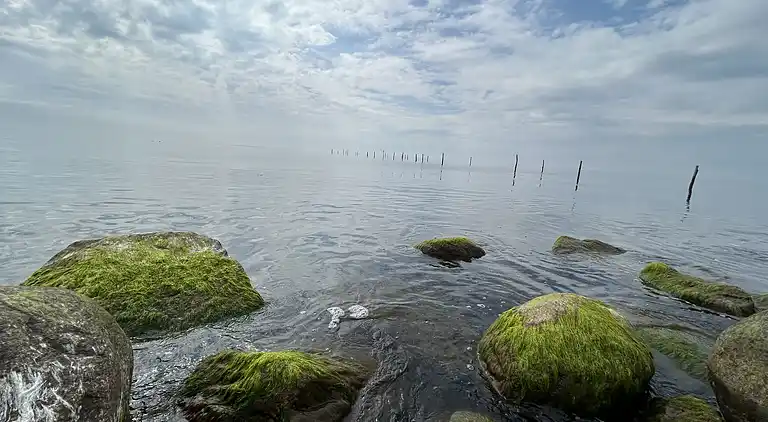 Gemütliches Ferienhaus mit Charme