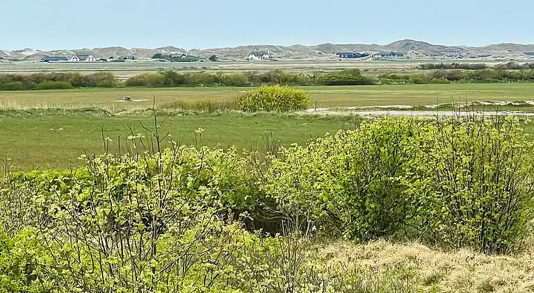 Sommerhus i Lodbjerg Hede