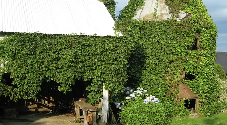 Holiday home in Europe