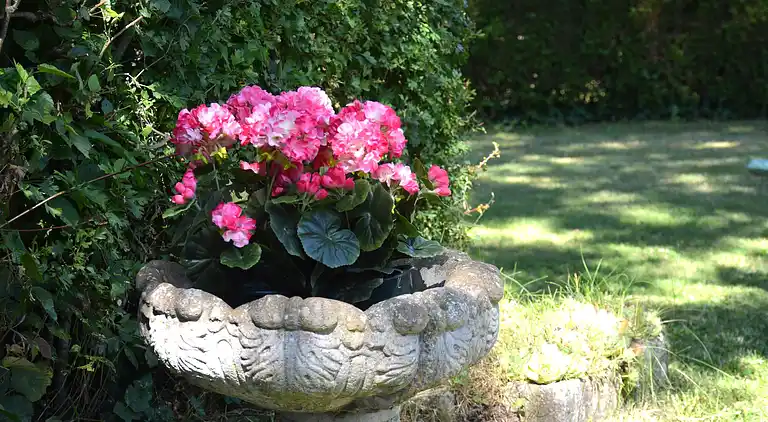 Hytte i Han-sur-Lesse