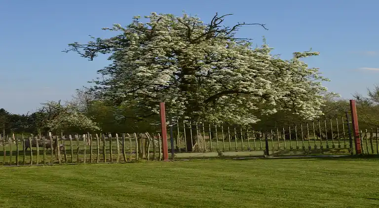 Herregård i Ellezelles