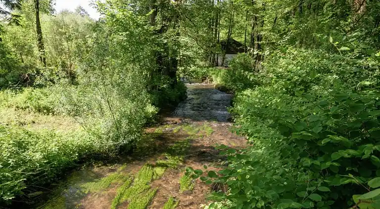 Herregård i Ellezelles