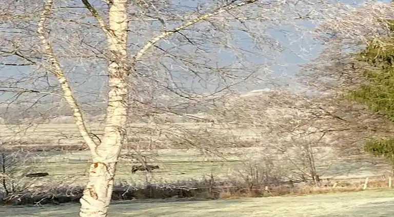 Apartment in Deidenberg