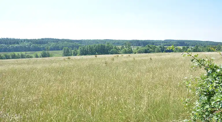 Holiday home in Serinchamps