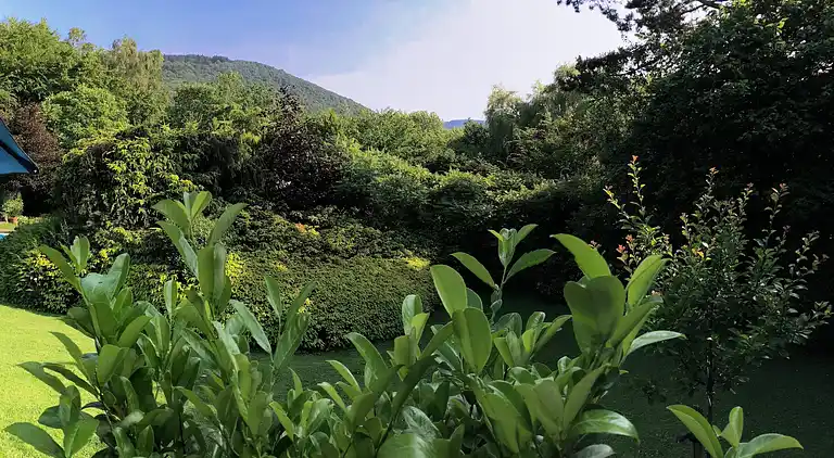 Chalet in Sougné-Remouchamps