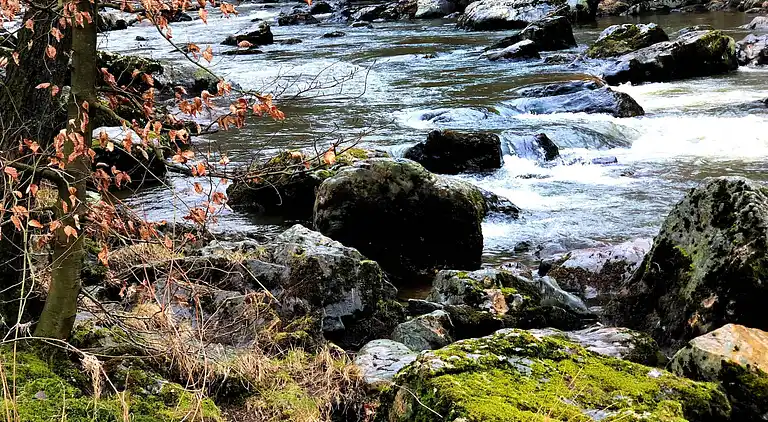 Chalet in Sougné-Remouchamps