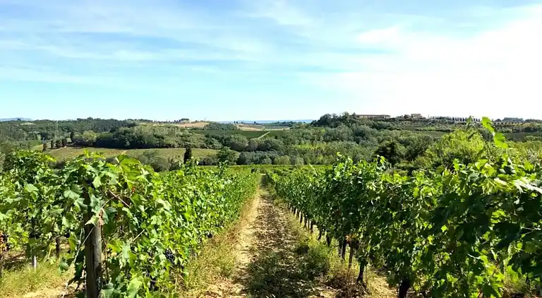 Apartamento en Lajatico