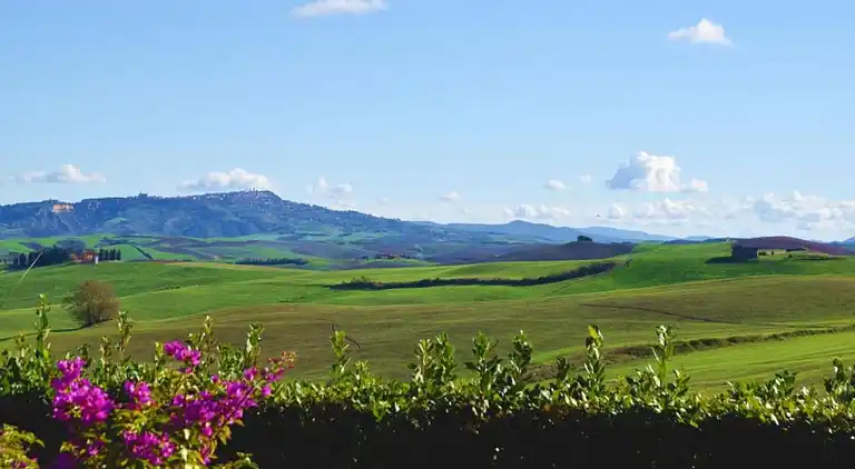 Leilighet i Lajatico