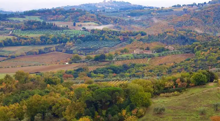 Feriebolig i Peccioli