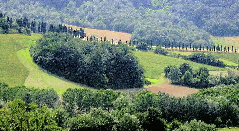 Feriebolig i Peccioli