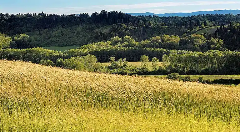 Feriebolig i Peccioli