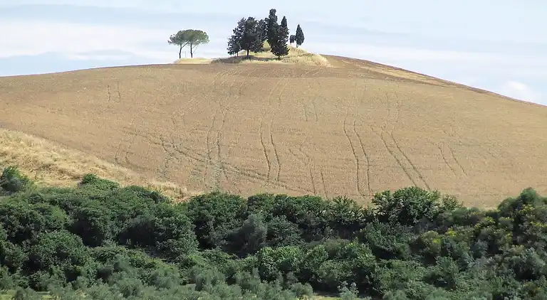 Holiday home in Peccioli
