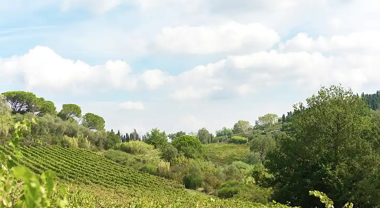 Holiday home in Peccioli