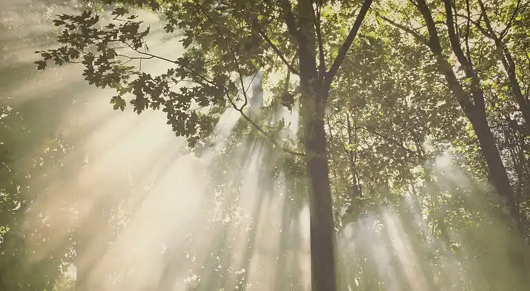 Herrgård i Waulsort