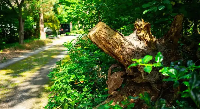 Herregård i Hastière-par-delà