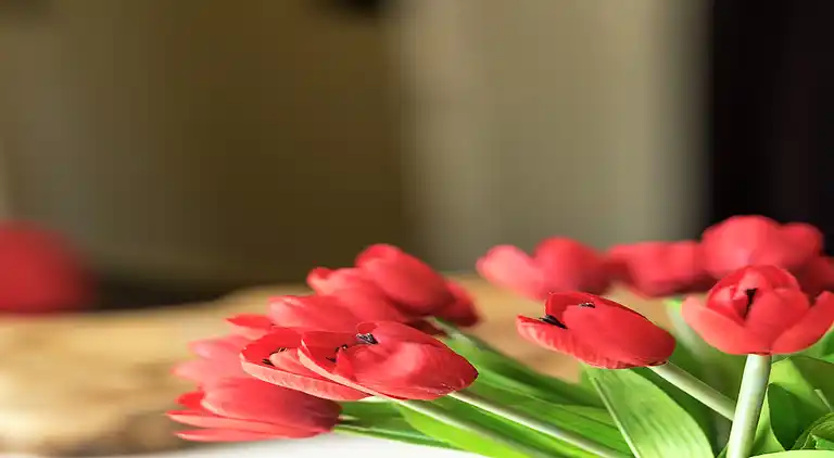 Mansione in Hastière-par-delà