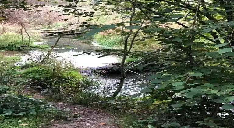 Gårdhus i Malempré