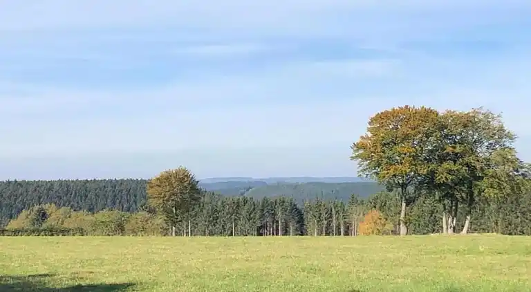 Gårdhus i Malempré