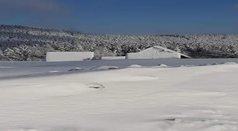 Apartment in Meisdorf