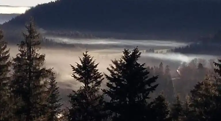 Apartment in Meisdorf