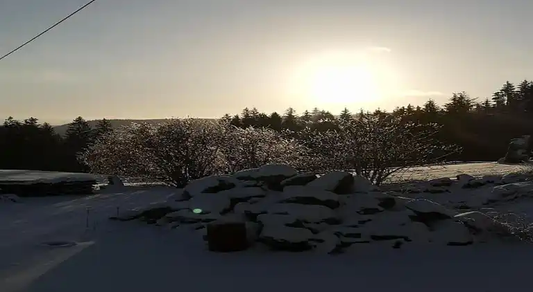 Apartment in Meisdorf