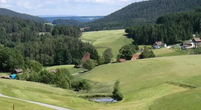 Apartment in Meisdorf