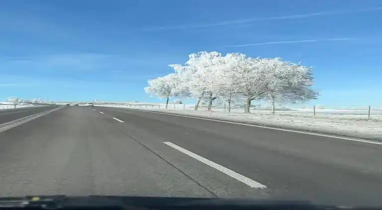 Apartment in Meisdorf