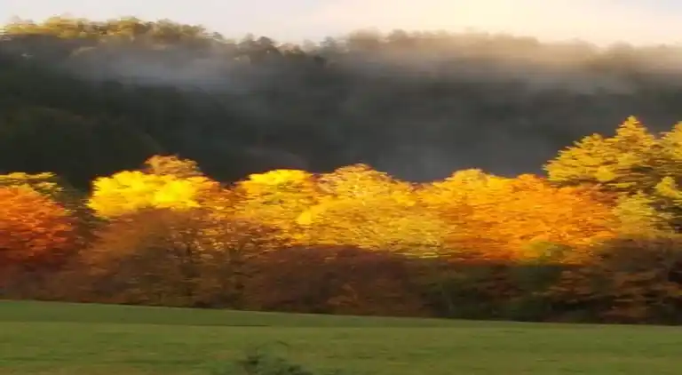 Apartment in Meisdorf