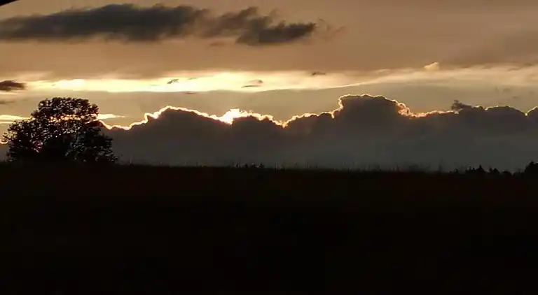 Apartment in Meisdorf