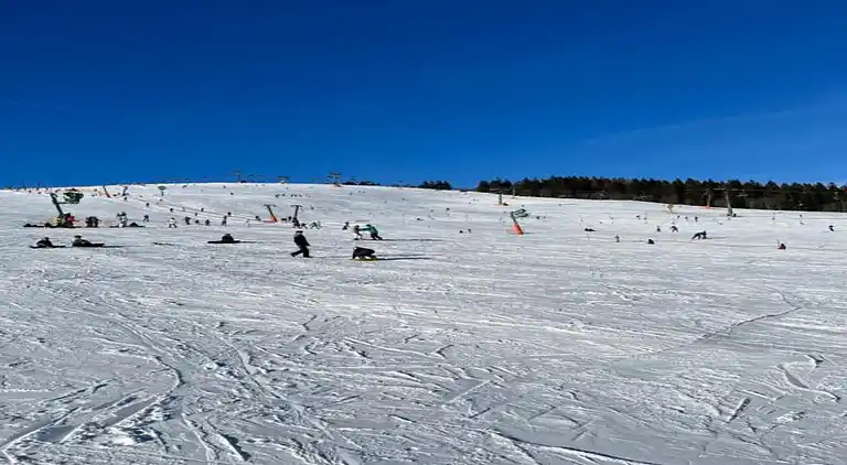 Apartment in Meisdorf