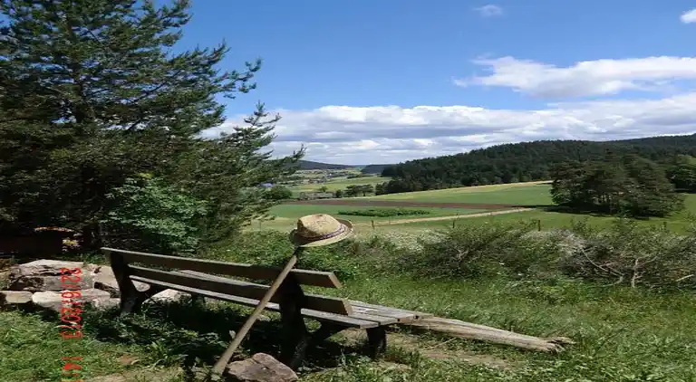 Apartment in Meisdorf