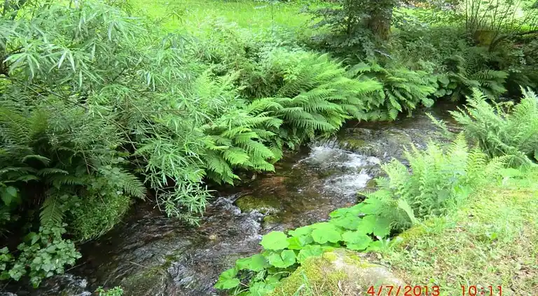 Apartment in Meisdorf