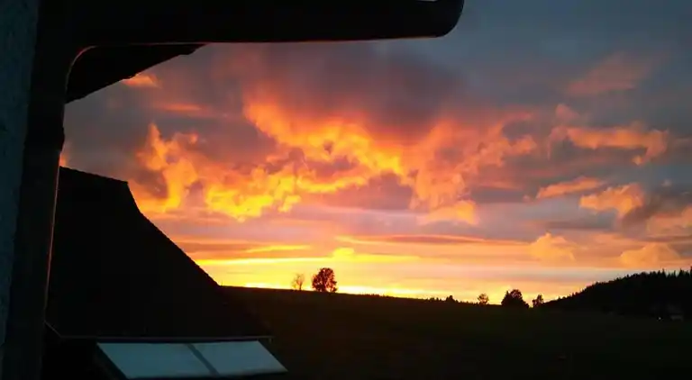 Apartment in Meisdorf