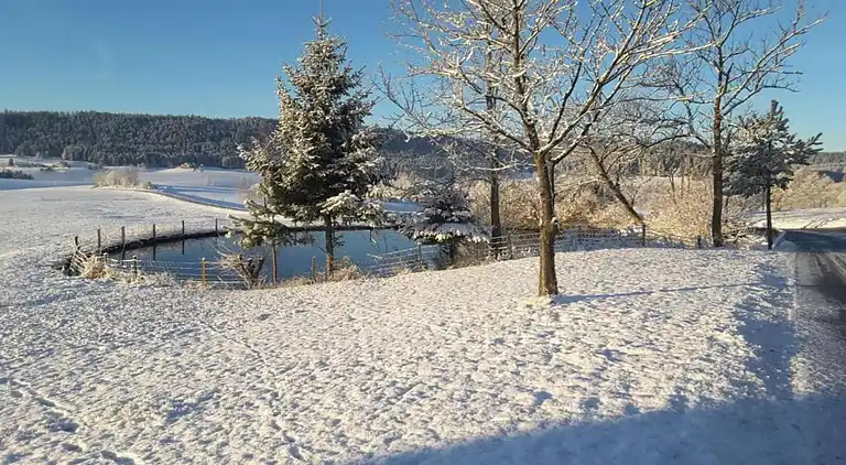 Apartment in Meisdorf