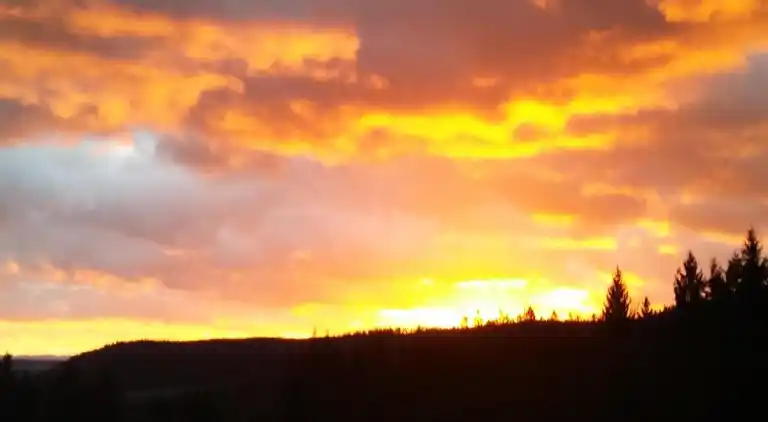 Apartment in Meisdorf