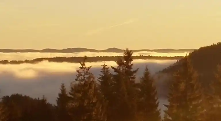 Apartment in Meisdorf