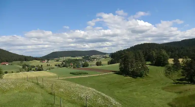 Apartment in Meisdorf