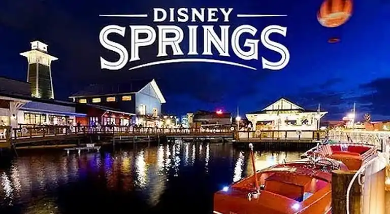 Home Near Disney Area-Sleeps 14 Guest