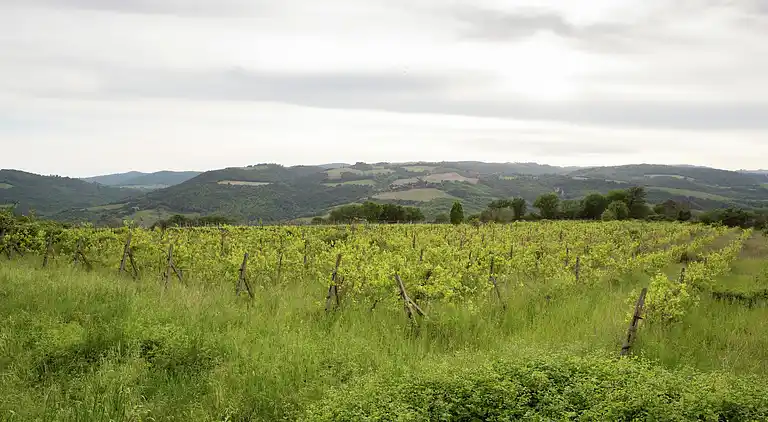 Farmhaus in Castiglione d'Orcia